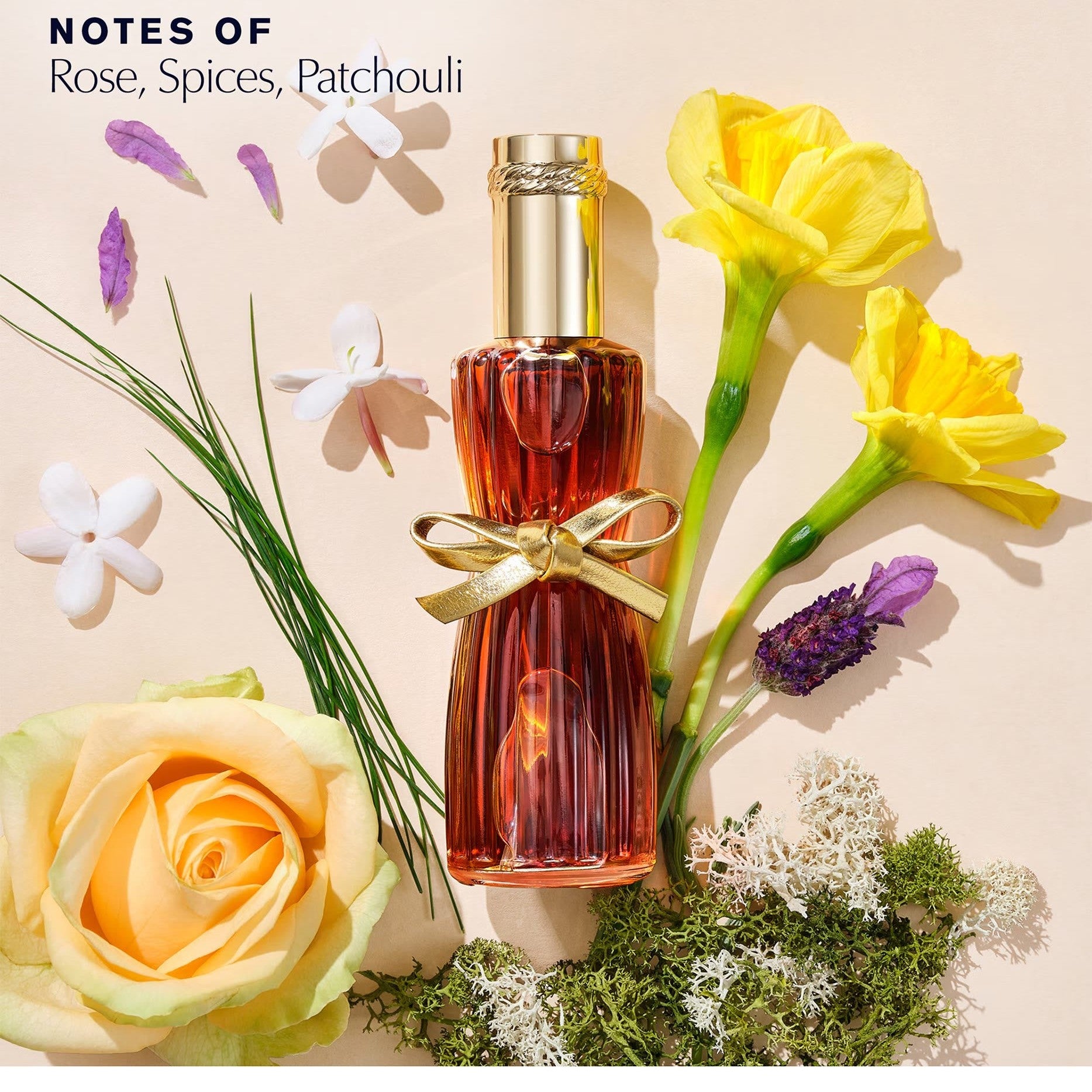 https://bloomingdales.ae/on/demandware.static/-/Sites-bloomingdales-master-catalog/default/dw8031d7a3/sfcc-new-blm-production/2/0/4/7/6/204760706_E1.jpg