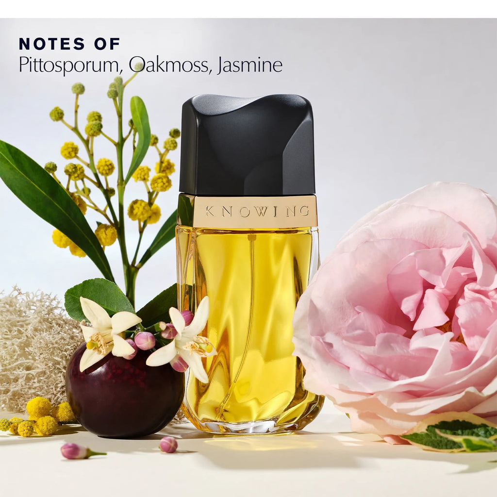 https://bloomingdales.ae/on/demandware.static/-/Sites-bloomingdales-master-catalog/default/dw63f46d6d/sfcc-new-blm-production/2/0/4/7/6/204760842_E1.jpg