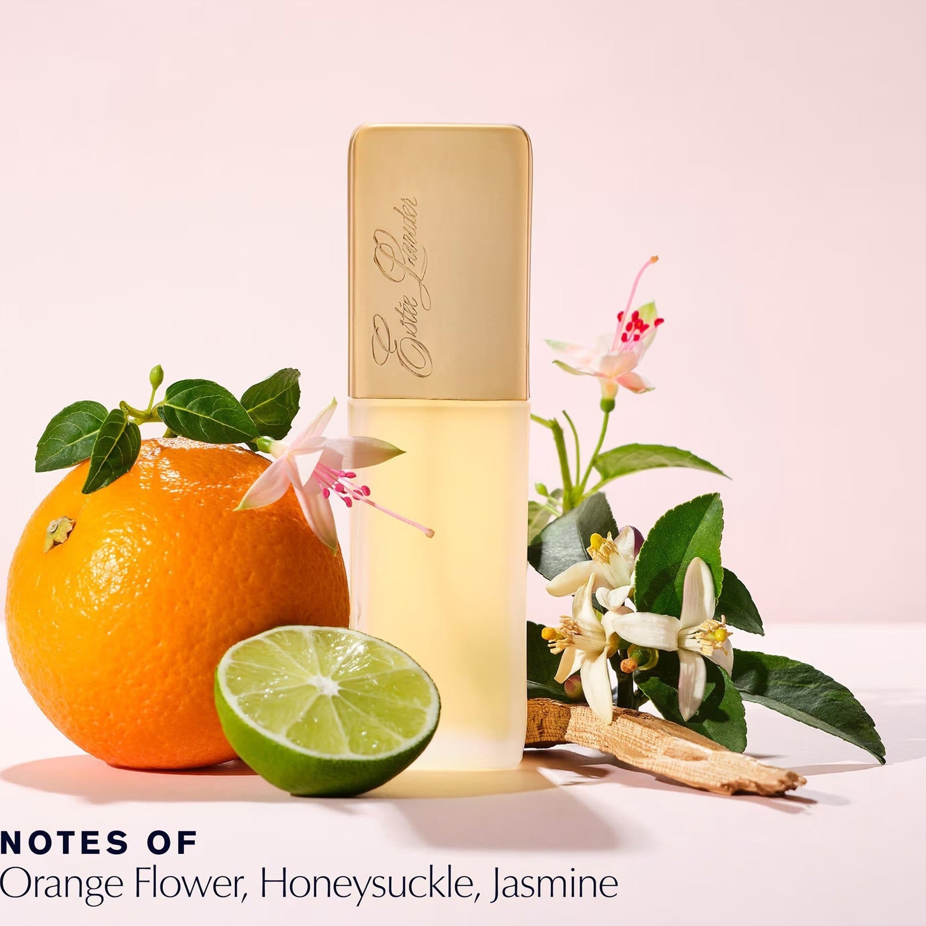 https://bloomingdales.ae/on/demandware.static/-/Sites-bloomingdales-master-catalog/default/dw5d6209ba/sfcc-new-blm-production/2/0/4/7/6/204761005_E1.jpg
