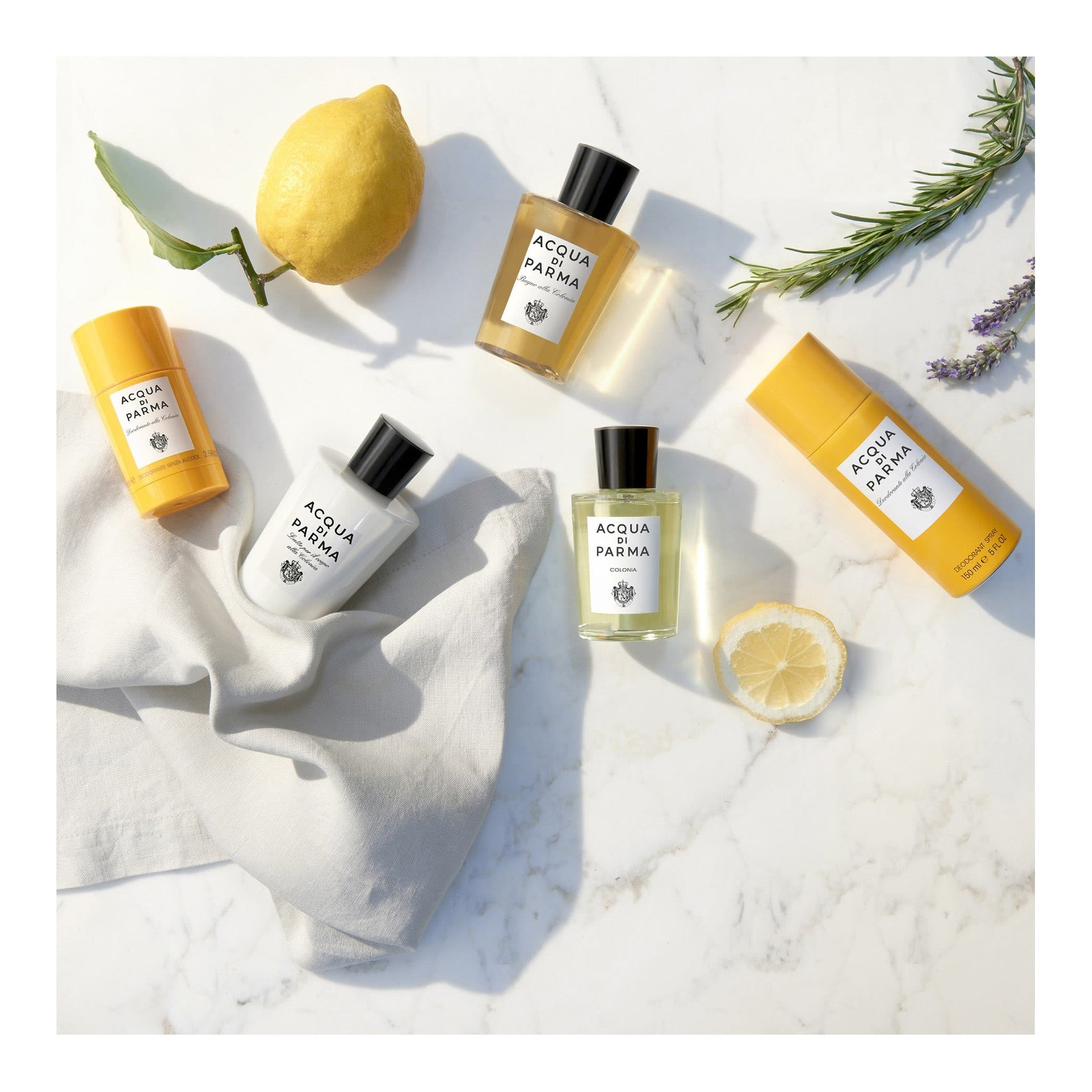 https://bloomingdales.ae/on/demandware.static/-/Sites-bloomingdales-master-catalog/default/dw47093aa7/sfcc-new-blm-production/2/0/4/7/7/204777842_E1.jpg