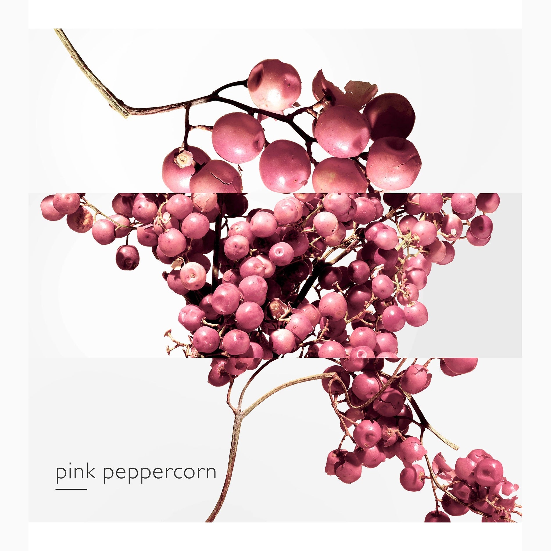 https://bloomingdales.ae/on/demandware.static/-/Sites-bloomingdales-master-catalog/default/dwfb1ba101/sfcc-new-blm-production/2/1/3/7/7/213770260_E2.jpg