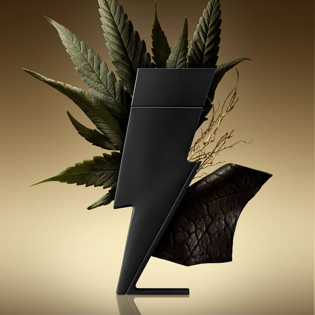 https://bloomingdales.ae/on/demandware.static/-/Sites-bloomingdales-master-catalog/default/dwbeb2c2af/sfcc-new-blm-production/2/1/4/3/6/214364047_BK.jpg