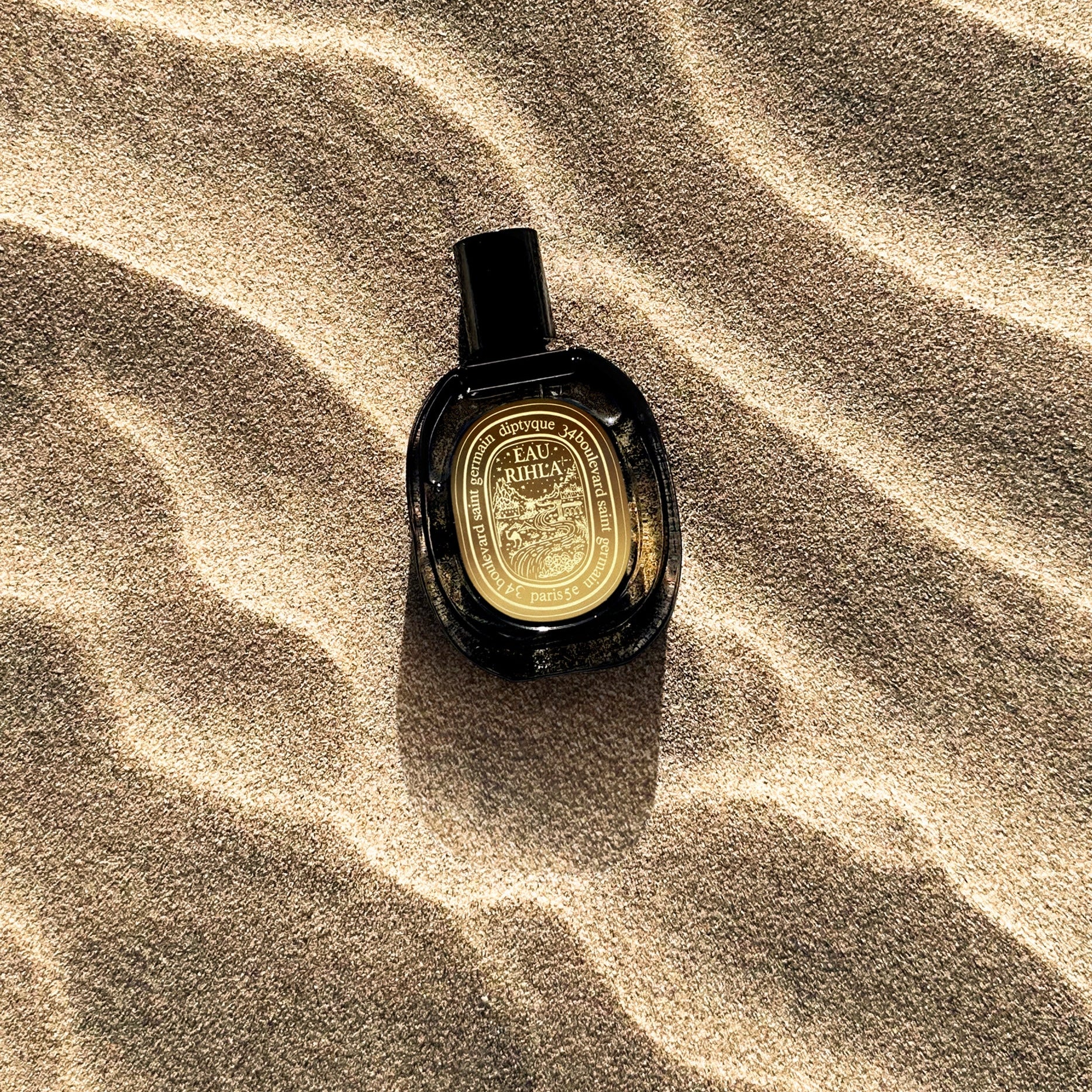 https://bloomingdales.ae/on/demandware.static/-/Sites-bloomingdales-master-catalog/default/dw0b1605c7/sfcc-new-blm-production/2/1/4/4/3/214433738_E1.jpg