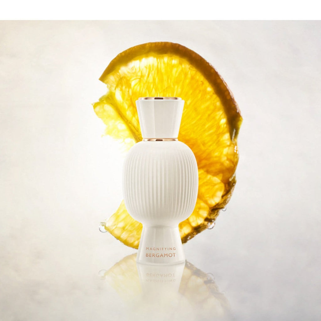 https://bloomingdales.ae/on/demandware.static/-/Sites-bloomingdales-master-catalog/default/dwb7f781d7/sfcc-new-blm-production/2/1/4/8/5/214855758_E3.jpg