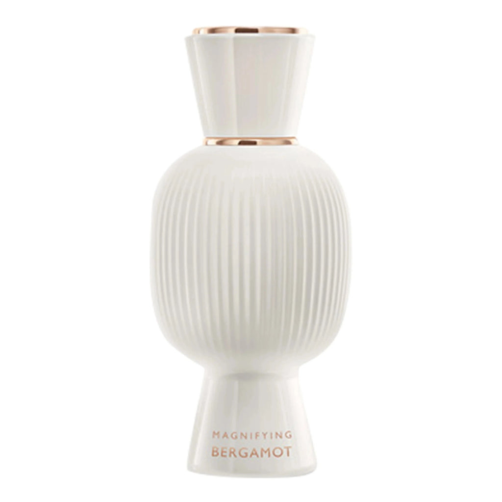 https://bloomingdales.ae/on/demandware.static/-/Sites-bloomingdales-master-catalog/default/dw5a398092/sfcc-new-blm-production/2/1/4/8/5/214855758_IN.jpg