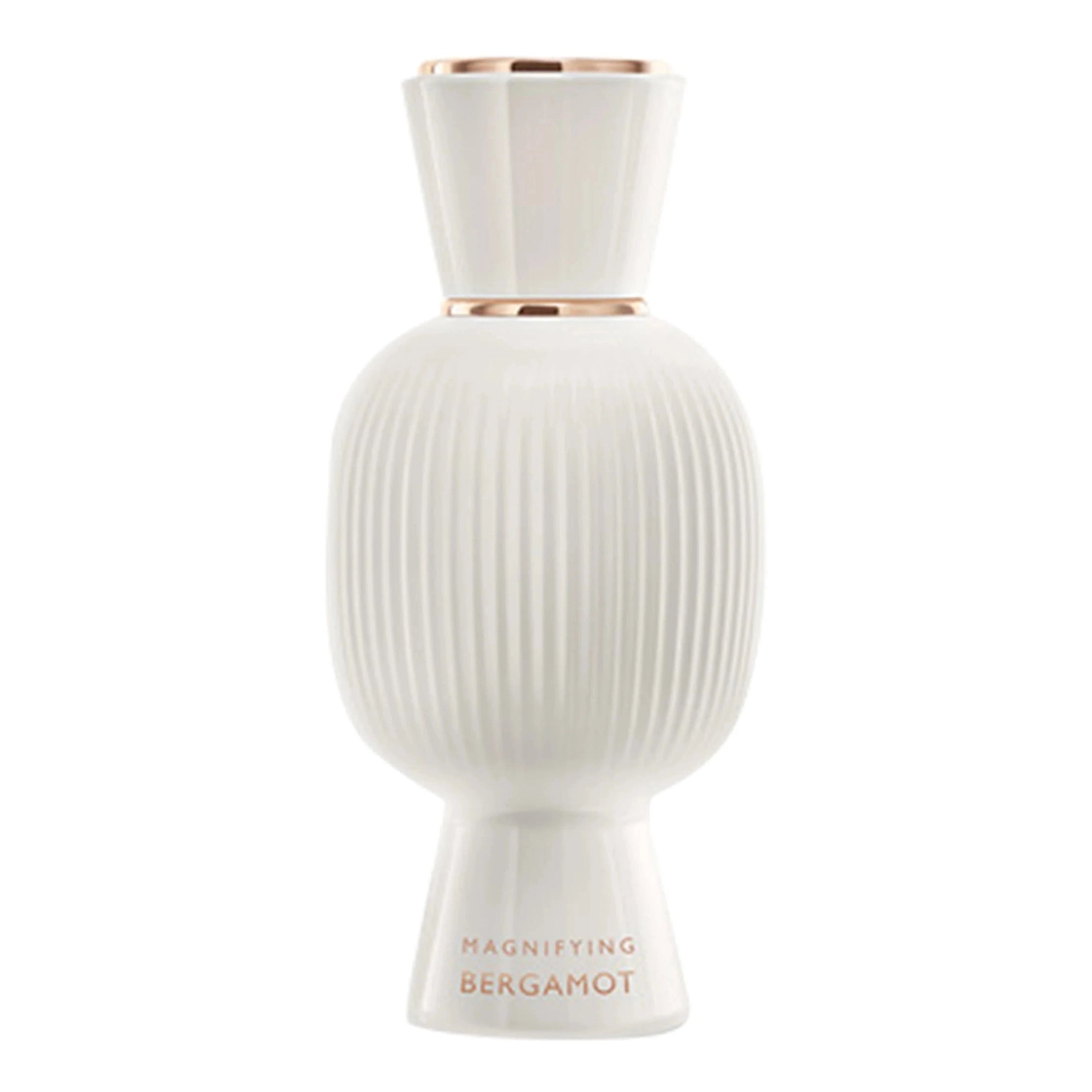 https://bloomingdales.ae/on/demandware.static/-/Sites-bloomingdales-master-catalog/default/dw5a398092/sfcc-new-blm-production/2/1/4/8/5/214855758_IN.jpg