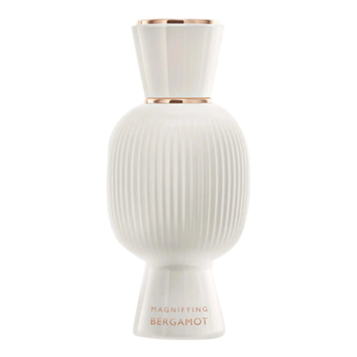 https://bloomingdales.ae/on/demandware.static/-/Sites-bloomingdales-master-catalog/default/dw5a398092/sfcc-new-blm-production/2/1/4/8/5/214855758_IN.jpg