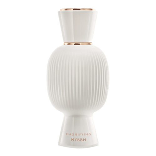 https://bloomingdales.ae/on/demandware.static/-/Sites-bloomingdales-master-catalog/default/dw59d3e538/sfcc-new-blm-production/2/1/4/8/5/214855773_IN.jpg