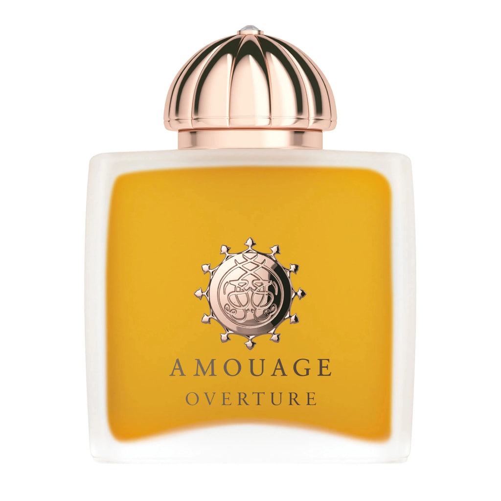 https://bloomingdales.ae/on/demandware.static/-/Sites-bloomingdales-master-catalog/default/dwaef7af66/sfcc-new-blm-production/2/1/5/3/5/215357003_IN.jpg