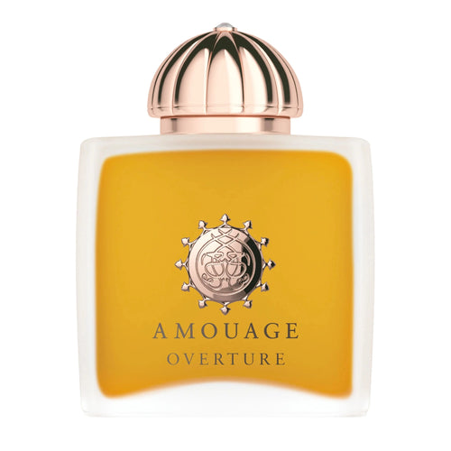 https://bloomingdales.ae/on/demandware.static/-/Sites-bloomingdales-master-catalog/default/dwaef7af66/sfcc-new-blm-production/2/1/5/3/5/215357003_IN.jpg