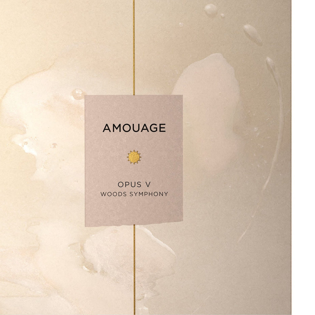 https://bloomingdales.ae/on/demandware.static/-/Sites-bloomingdales-master-catalog/default/dw4846f8d3/sfcc-new-blm-production/2/1/5/4/4/215444067_E3.jpg