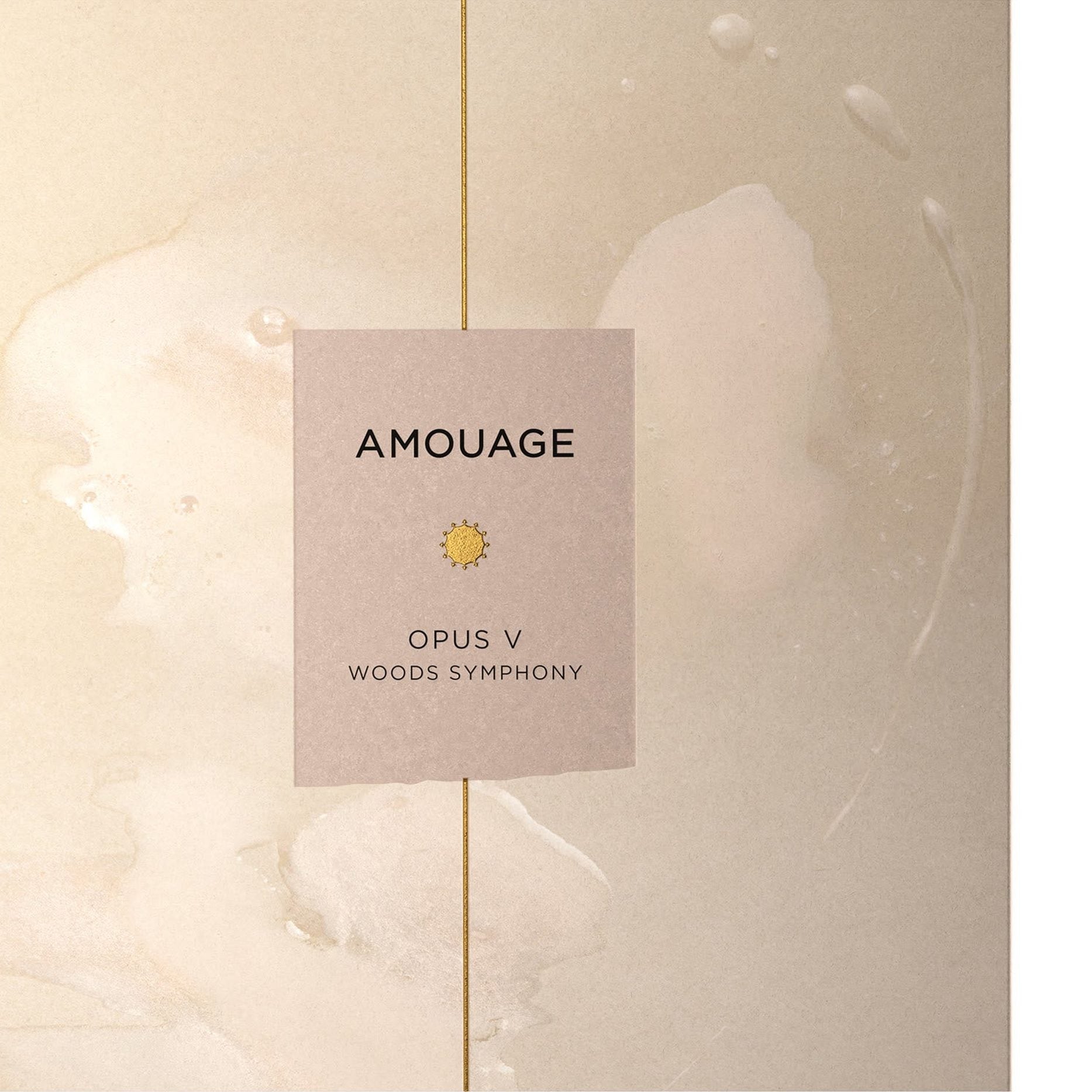 https://bloomingdales.ae/on/demandware.static/-/Sites-bloomingdales-master-catalog/default/dw4846f8d3/sfcc-new-blm-production/2/1/5/4/4/215444067_E3.jpg