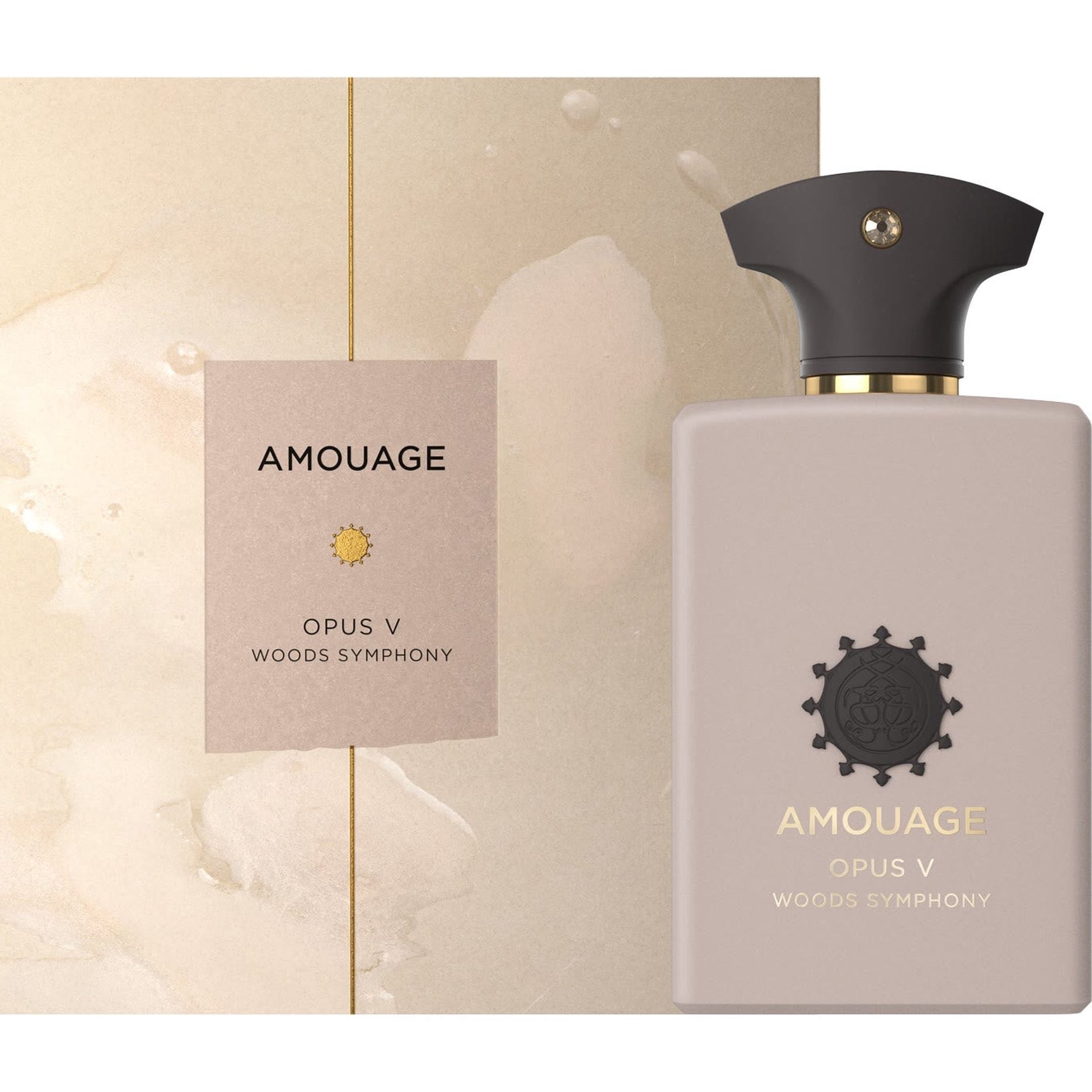 https://bloomingdales.ae/on/demandware.static/-/Sites-bloomingdales-master-catalog/default/dweef87d52/sfcc-new-blm-production/2/1/5/4/4/215444067_FR.jpg