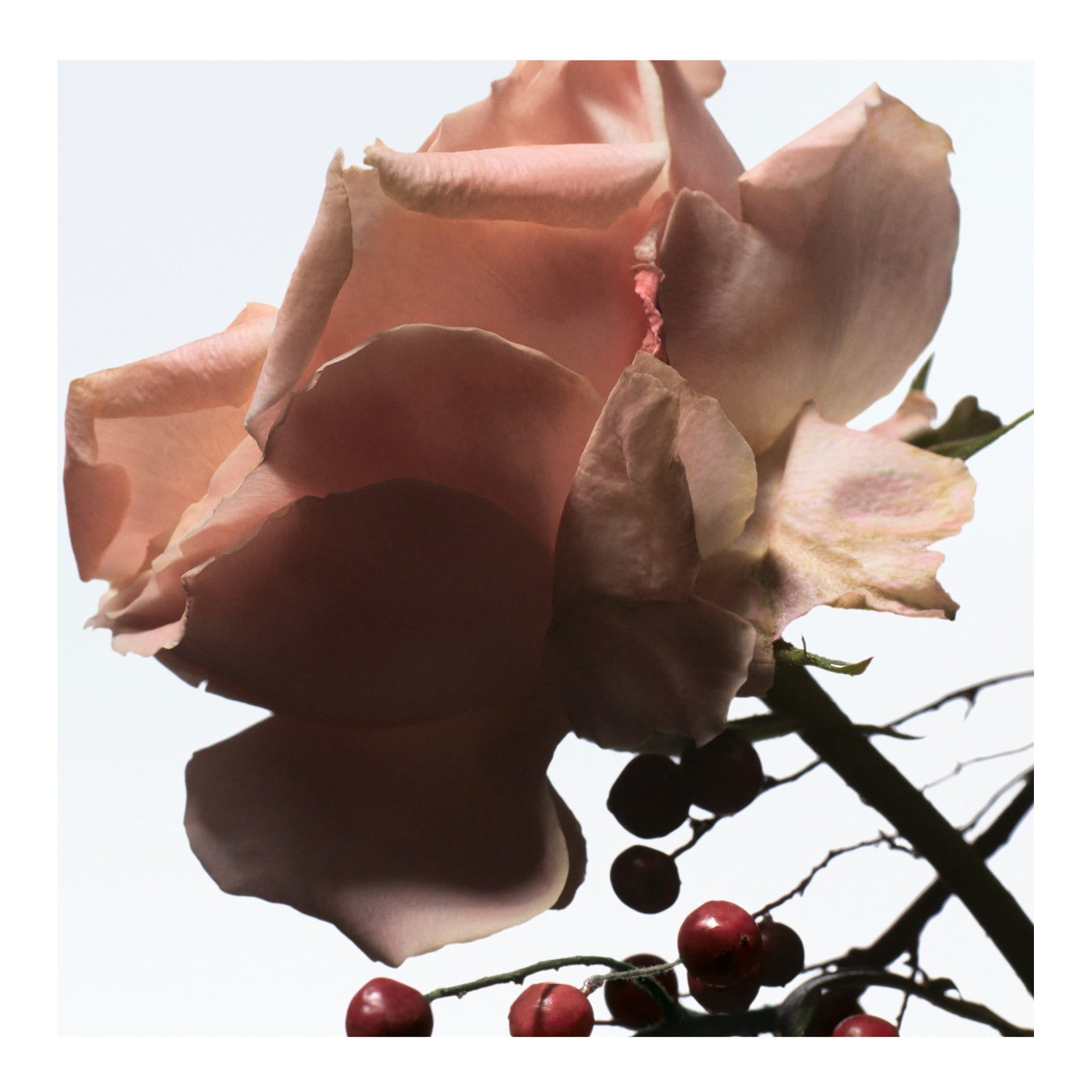 https://bloomingdales.ae/on/demandware.static/-/Sites-bloomingdales-master-catalog/default/dw3e87d54b/sfcc-new-blm-production/2/1/6/5/8/216587086_FR.jpg