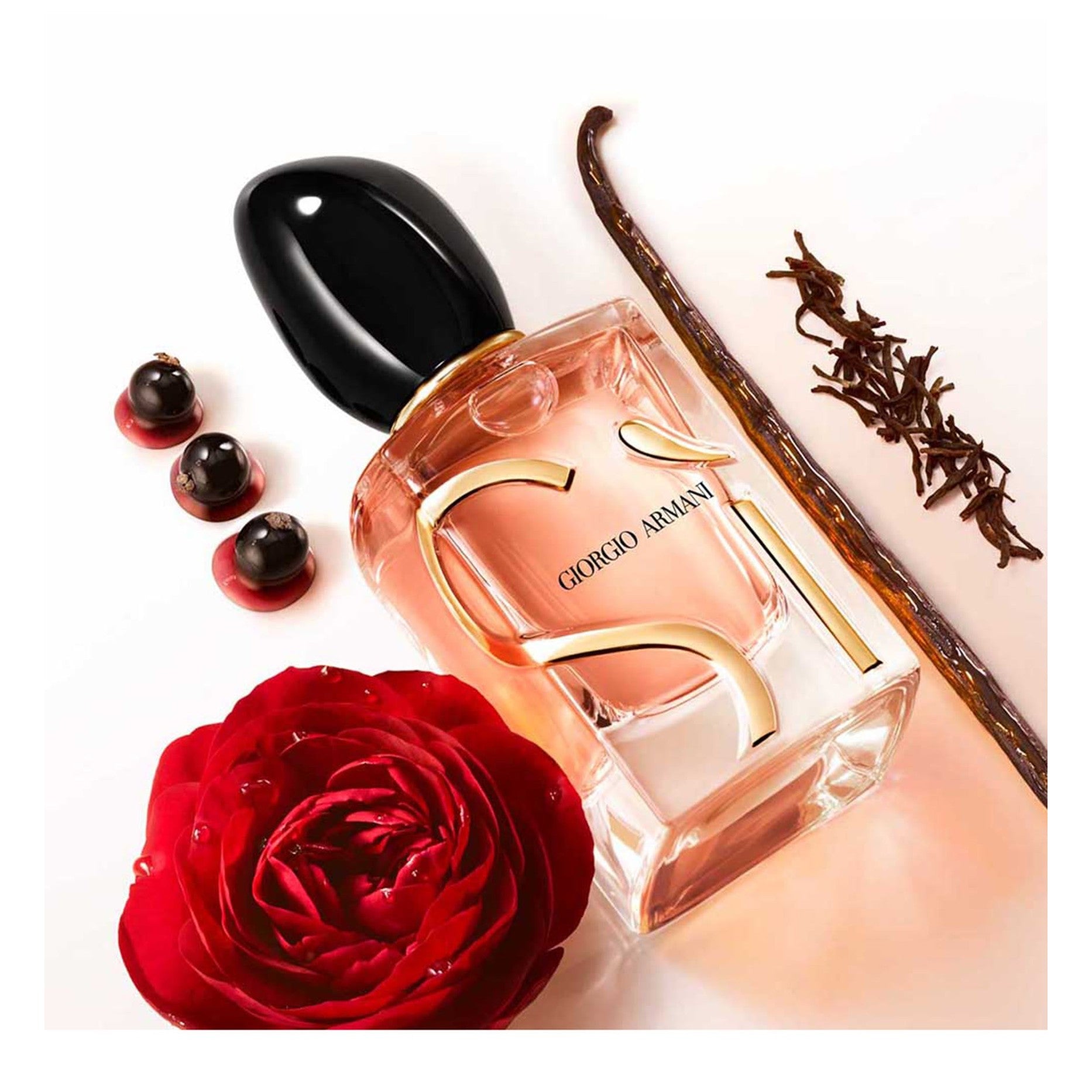 https://bloomingdales.ae/on/demandware.static/-/Sites-bloomingdales-master-catalog/default/dwf04c4b9d/sfcc-new-blm-production/2/1/6/6/4/216646007_CU.jpg