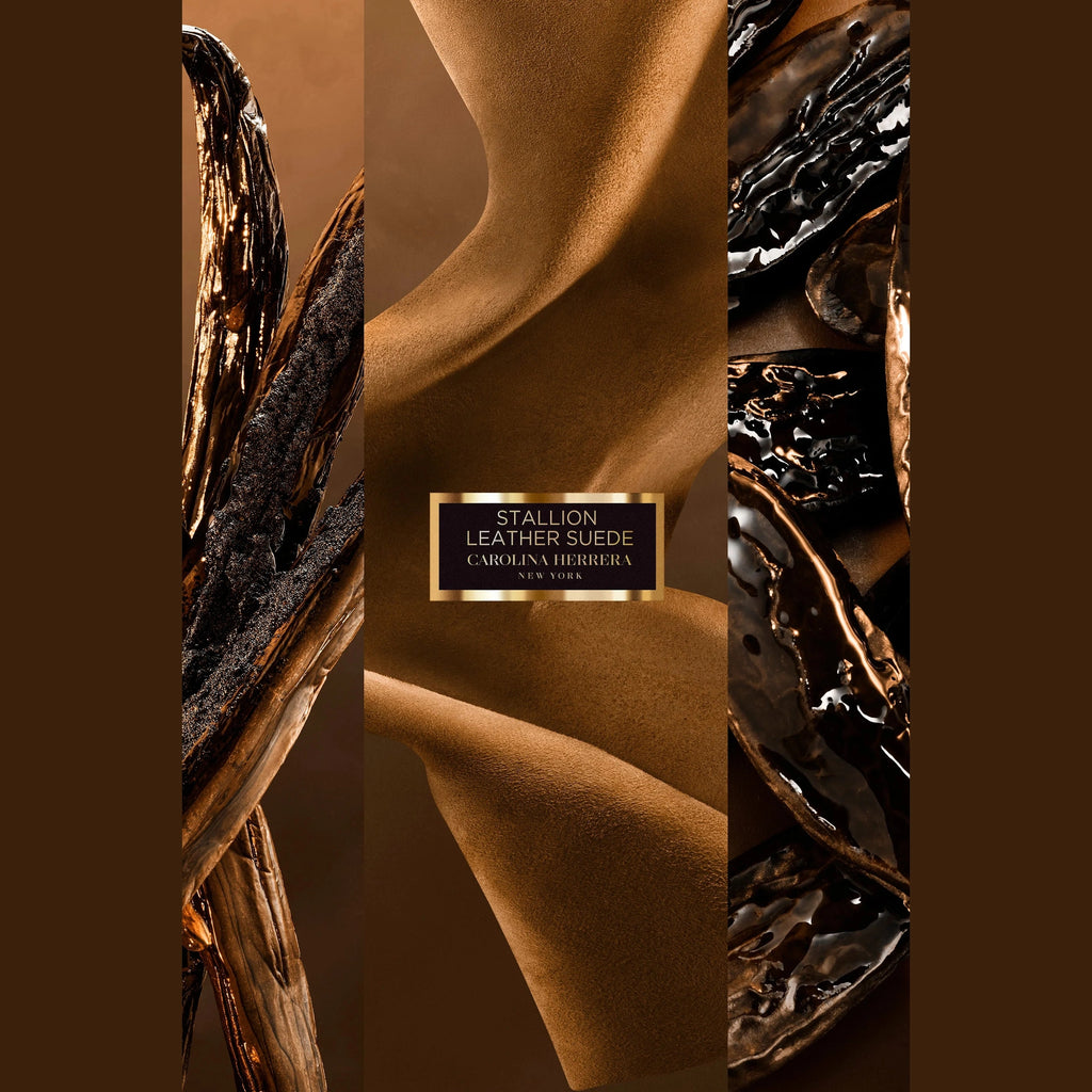 https://bloomingdales.ae/on/demandware.static/-/Sites-bloomingdales-master-catalog/default/dwe6763dd4/sfcc-new-blm-production/2/1/8/1/2/218120115_E1.jpg