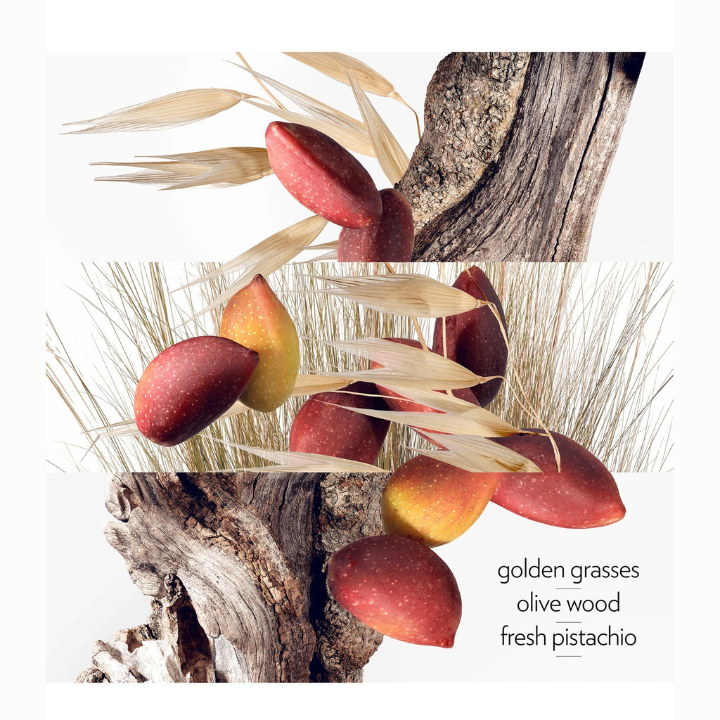 https://bloomingdales.ae/on/demandware.static/-/Sites-bloomingdales-master-catalog/default/dw74fe6664/sfcc-new-blm-production/2/1/8/2/5/218253457_CU.jpg