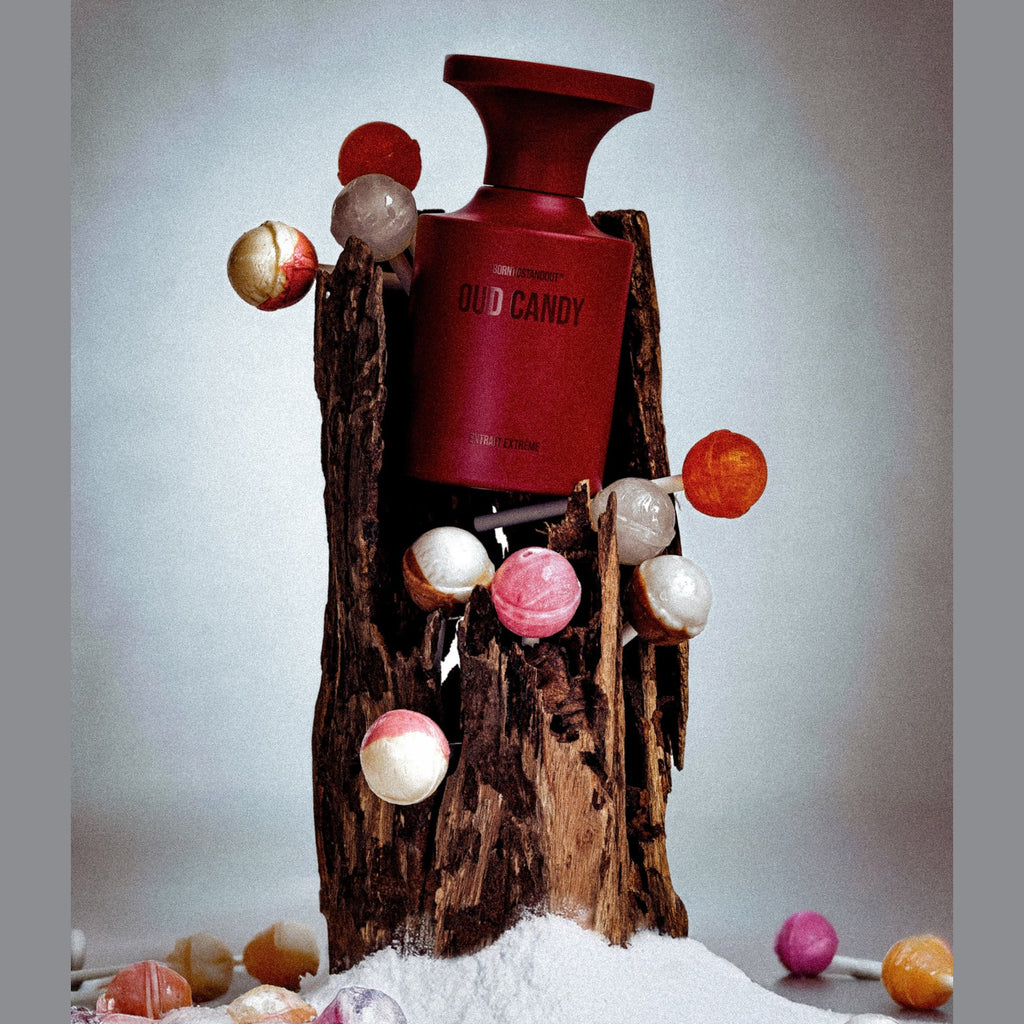https://bloomingdales.ae/on/demandware.static/-/Sites-bloomingdales-master-catalog/default/dw47b3ff65/sfcc-new-blm-production/2/1/8/5/6/218567649_E2.jpg