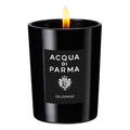 https://bloomingdales.ae/on/demandware.static/-/Sites-bloomingdales-master-catalog/default/dw40750716/sfcc-new-blm-production/2/1/8/8/7/218878219_IN.jpg