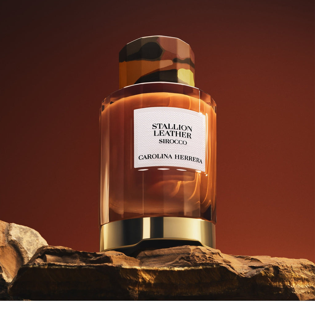 https://bloomingdales.ae/on/demandware.static/-/Sites-bloomingdales-master-catalog/default/dw2c3515e0/sfcc-new-blm-production/2/1/9/3/8/219384439_CU.jpg