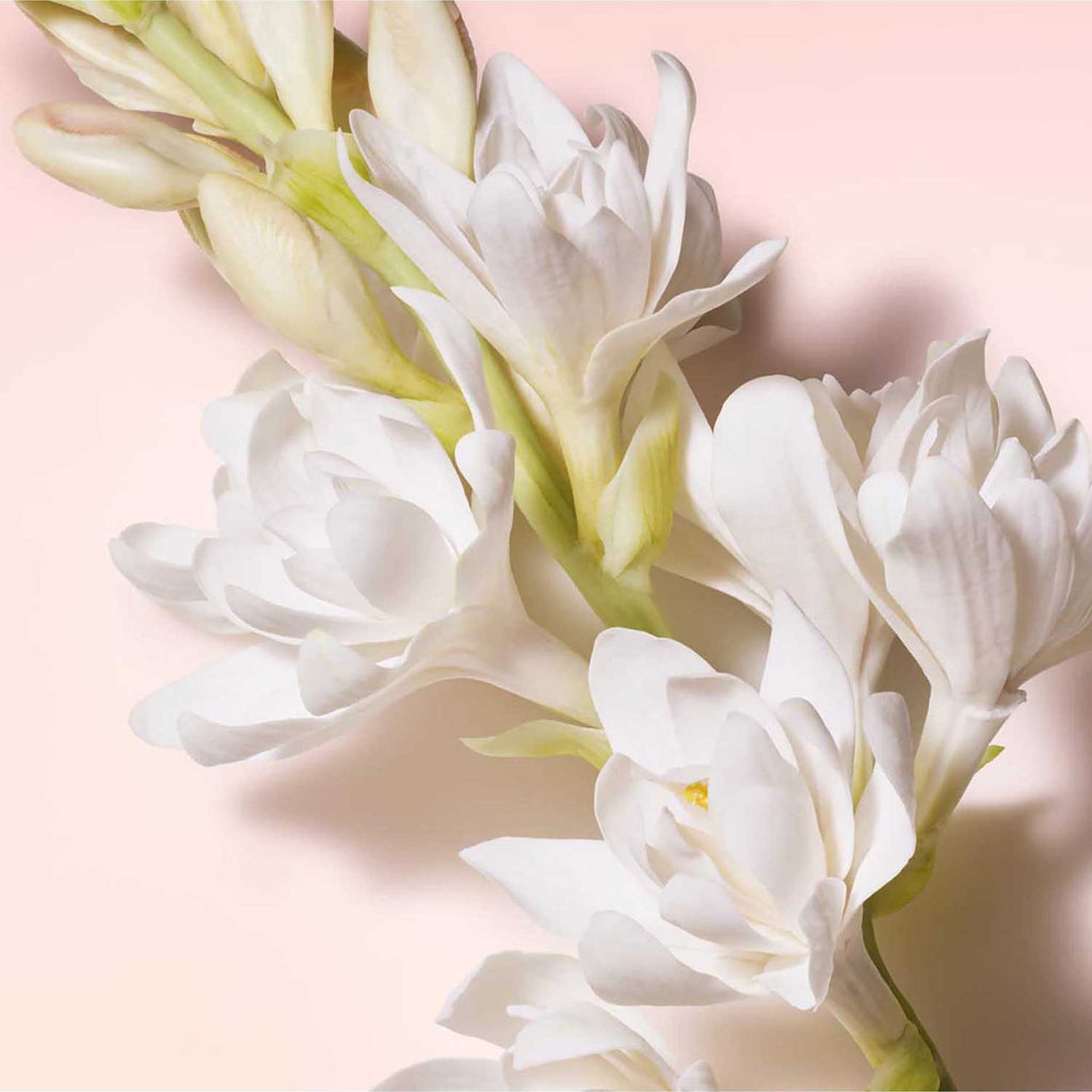 https://bloomingdales.ae/on/demandware.static/-/Sites-bloomingdales-master-catalog/default/dwfe47e55b/sfcc-new-blm-production/2/1/9/4/7/219479872_BK.jpg