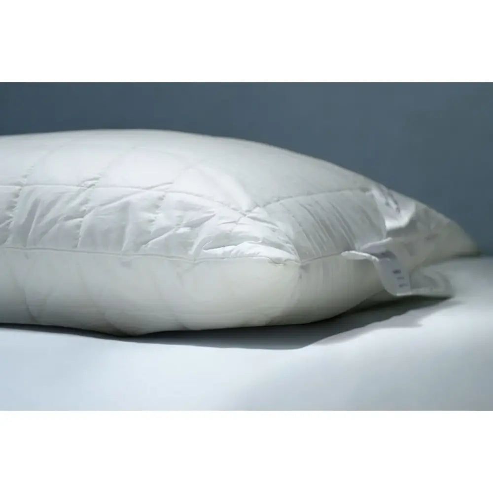 https://bedquarter.ae/wp-content/uploads/2025/07/balak_home_bamboo_batiste_pillow_side.webp