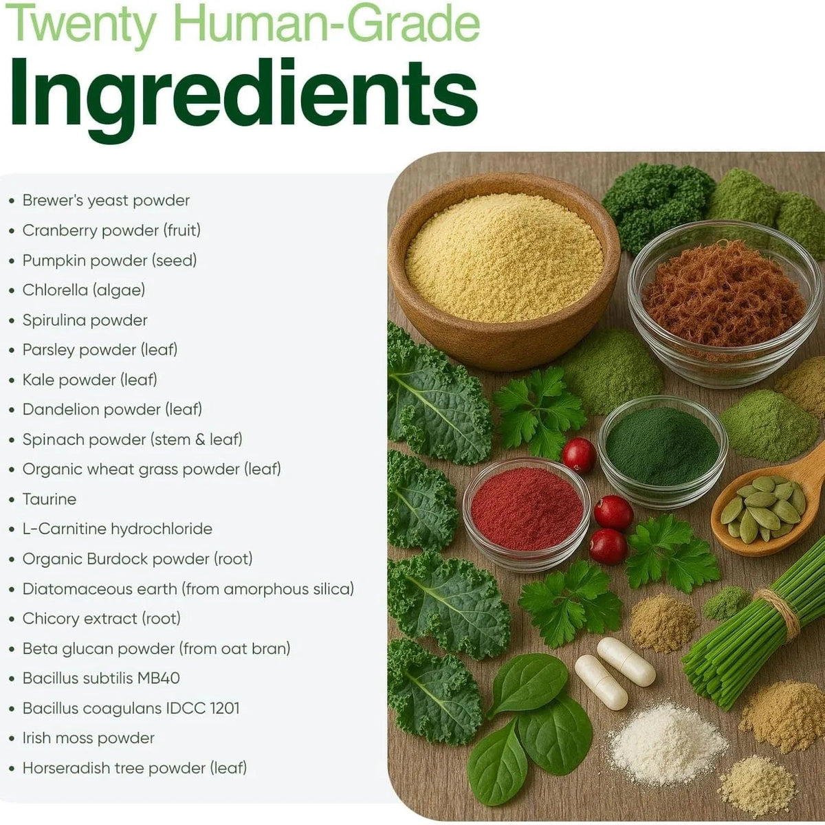 Iron Paws Human-Grade Superfood Dog Supplement Powder 3.5 oz