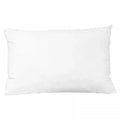 https://bedquarter.ae/wp-content/uploads/2025/07/nora_pillow_main.webp