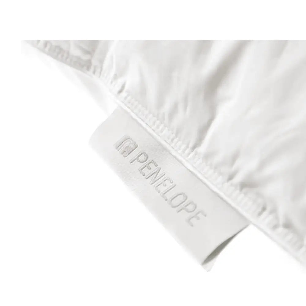 https://bedquarter.ae/wp-content/uploads/2025/07/penelope_bronze_pillow_brand.webp