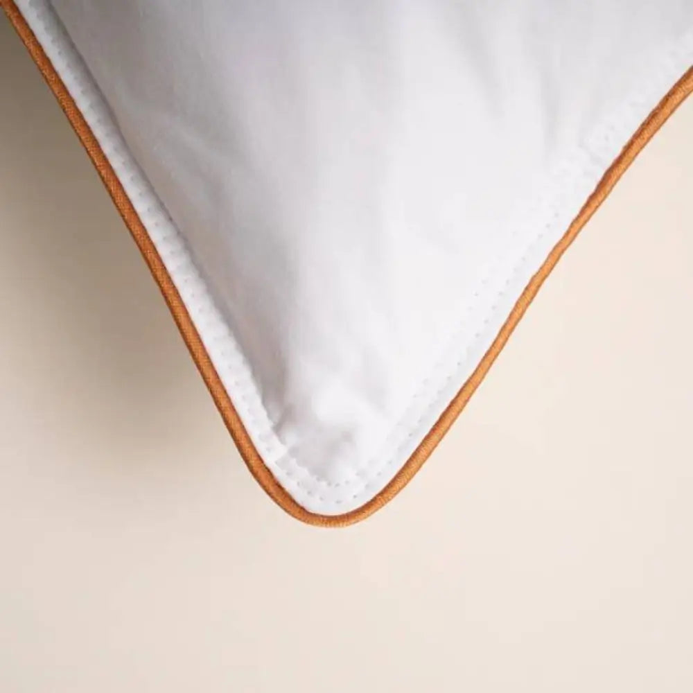 https://bedquarter.ae/wp-content/uploads/2025/07/penelope_bronze_pillow_corner.webp