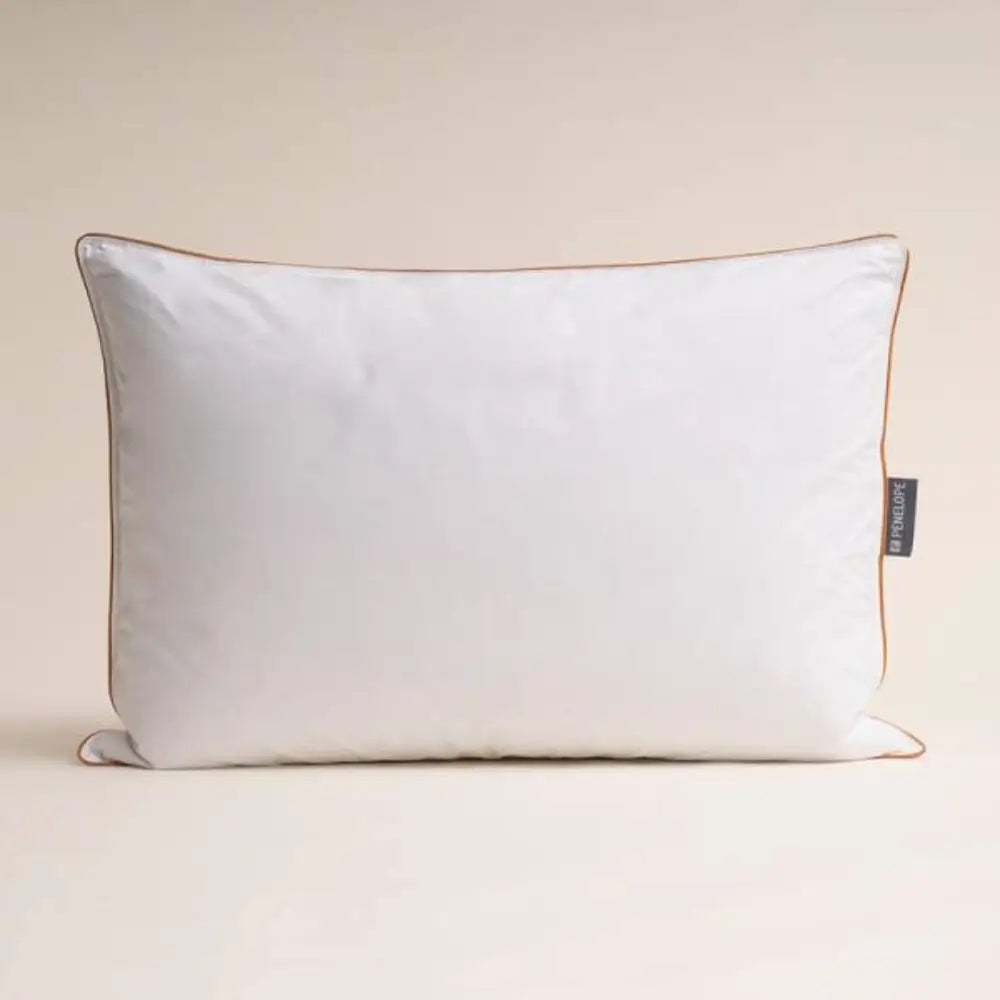 https://bedquarter.ae/wp-content/uploads/2025/07/penelope_bronze_pillow_main.webp