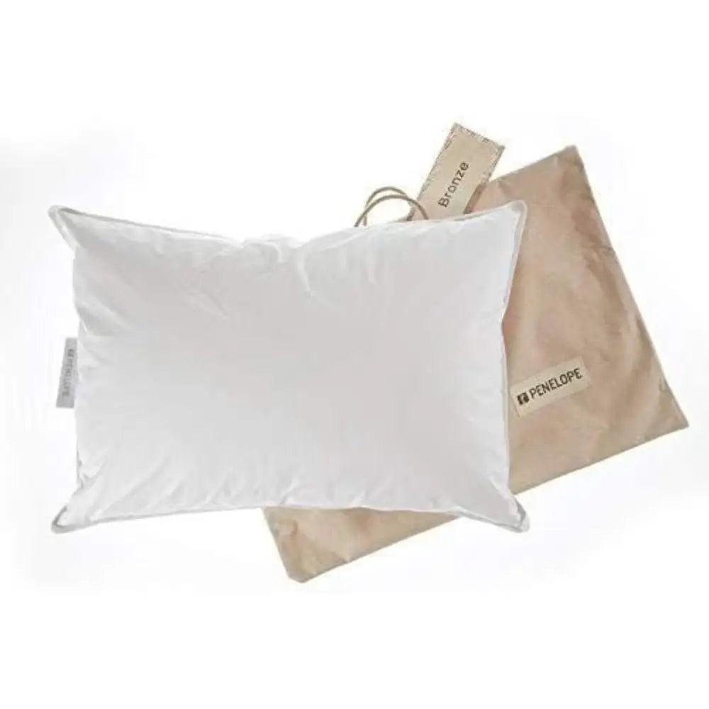 https://bedquarter.ae/wp-content/uploads/2025/07/penelope_bronze_pillow_with_cover.webp